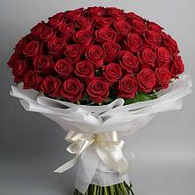 Букет 101 Красная роза Блэк Мэджик #REPLACE_PRED# Ирклиевская