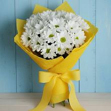 Букет цветов из:  Хризантемы в Ирклиевская