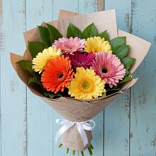 Букет цветов из:  Герберы в Ирклиевская