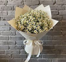 Букет цветов из:  Ромашки в Ирклиевская