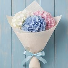 Букет цветов из:  Гортензия в Ирклиевская