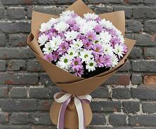 Букет цветов из:  Хризантемы в Ирклиевская