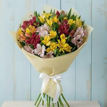 Букет цветов из:  Альстромерии в Ирклиевская