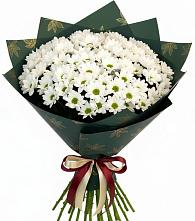 Букет цветов из:  Хризантемы в Ирклиевская