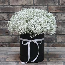 Цветочная композиция из Гипсофила в шляпной коробке #REPLACE_PRED# Ирклиевская