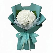 Букет цветов из:  Гортензия в Ирклиевская